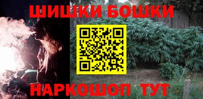 spice Камышлов