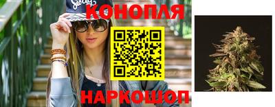 spice Камышлов