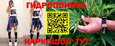 spice Камышлов