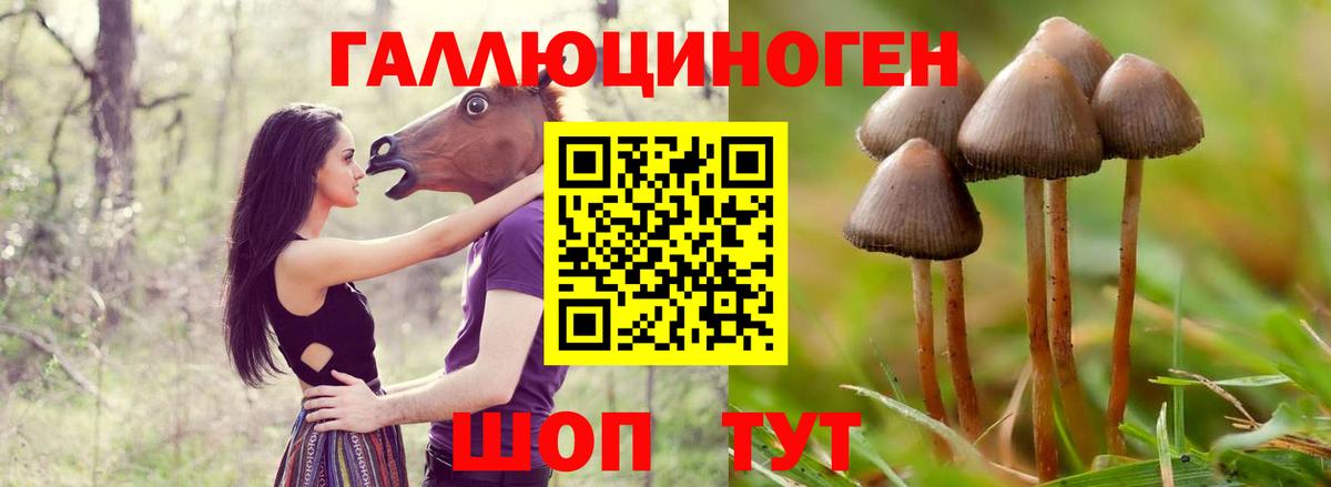 Галлюциногенные грибы ЛСД  Вход с VPN  Красноармейск 